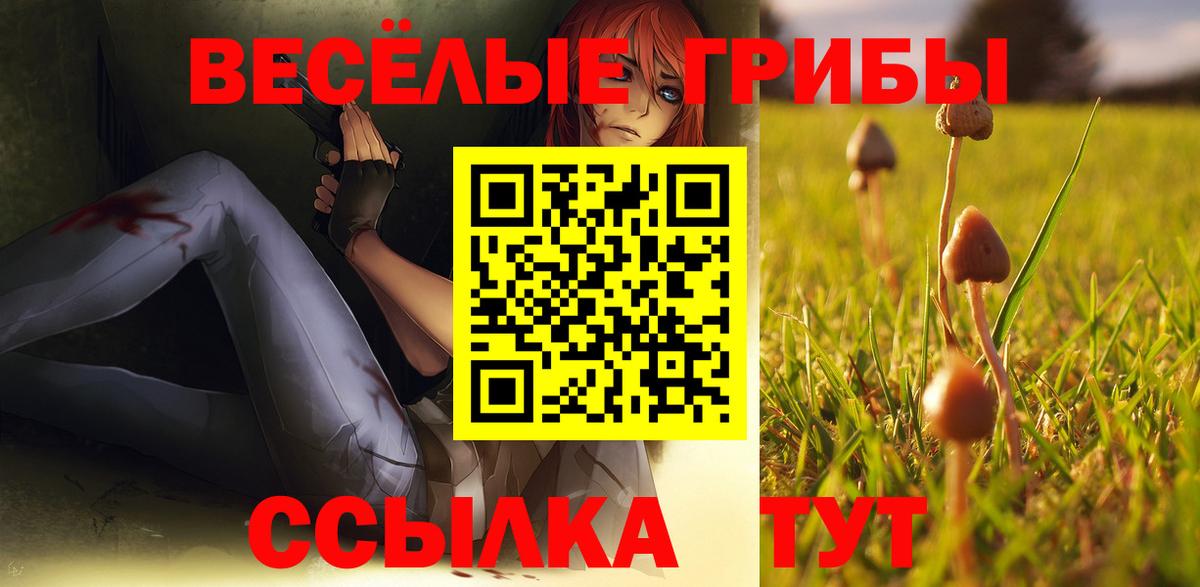 Галлюциногенные грибы прущие грибы Городец